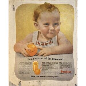 Sunkist California Navel Oranges Even Butch can tell the difference" Ad 1940's